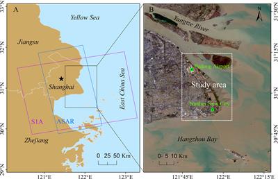 Spatial and temporal characteristics analysis for land subsidence in Shanghai coastal reclamation area using PS-InSAR method